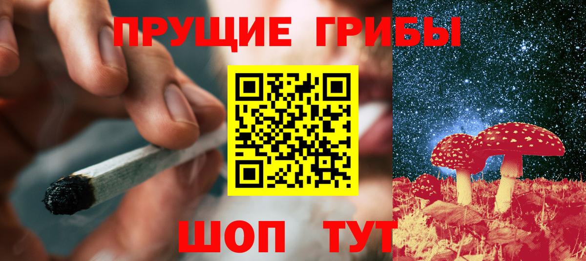 Галлюциногенные грибы MAGIC MUSHROOMS  Вход с VPN  сколько стоит  Новоалександровск 